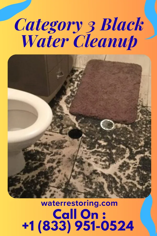Category 3 Black Water Cleanup in Bonne Terre, MO
